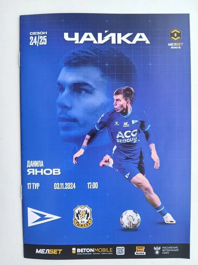 Чайка Песчанокопское - Тюмень 03.11.2024