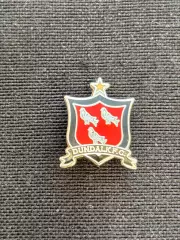 ФК Дандолк ( Дандолк ) Ірландія
