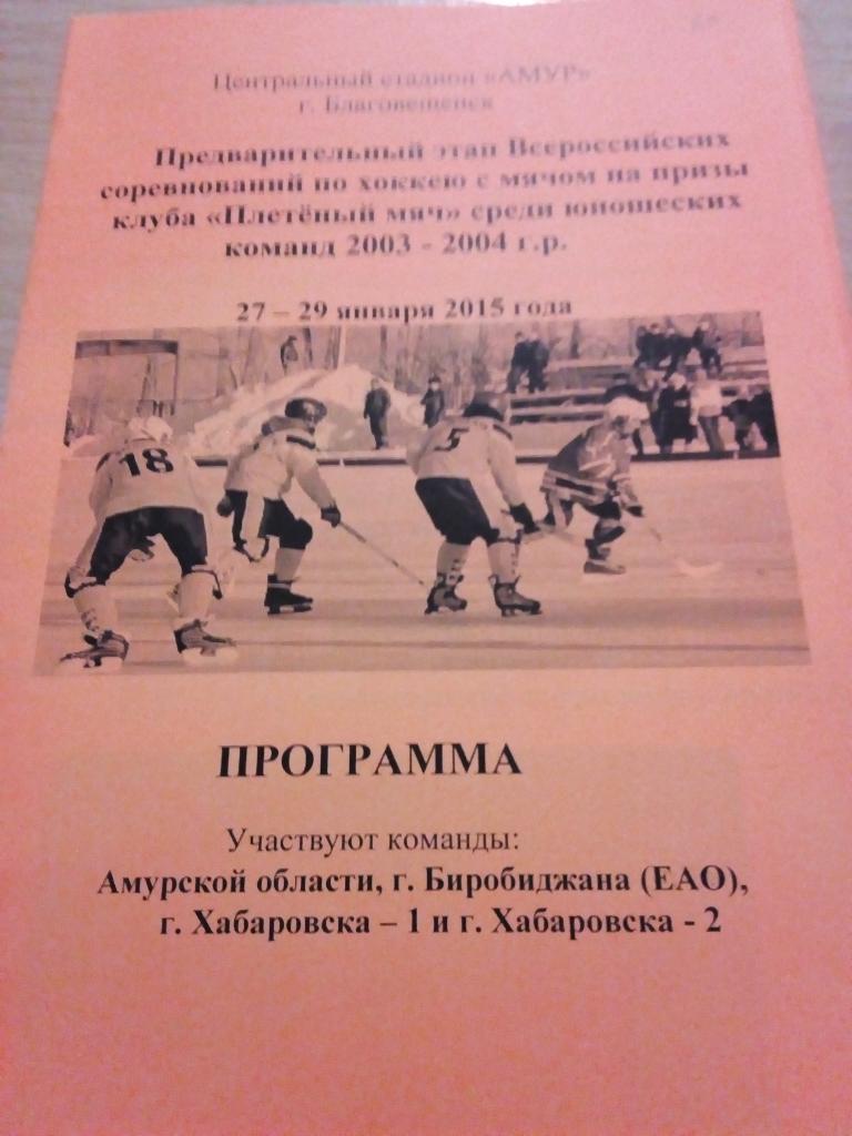 Благовещенск ТурнирПлетеный мяч(юноши 2003-04гр) зона ДВ - 27-29.01.2015