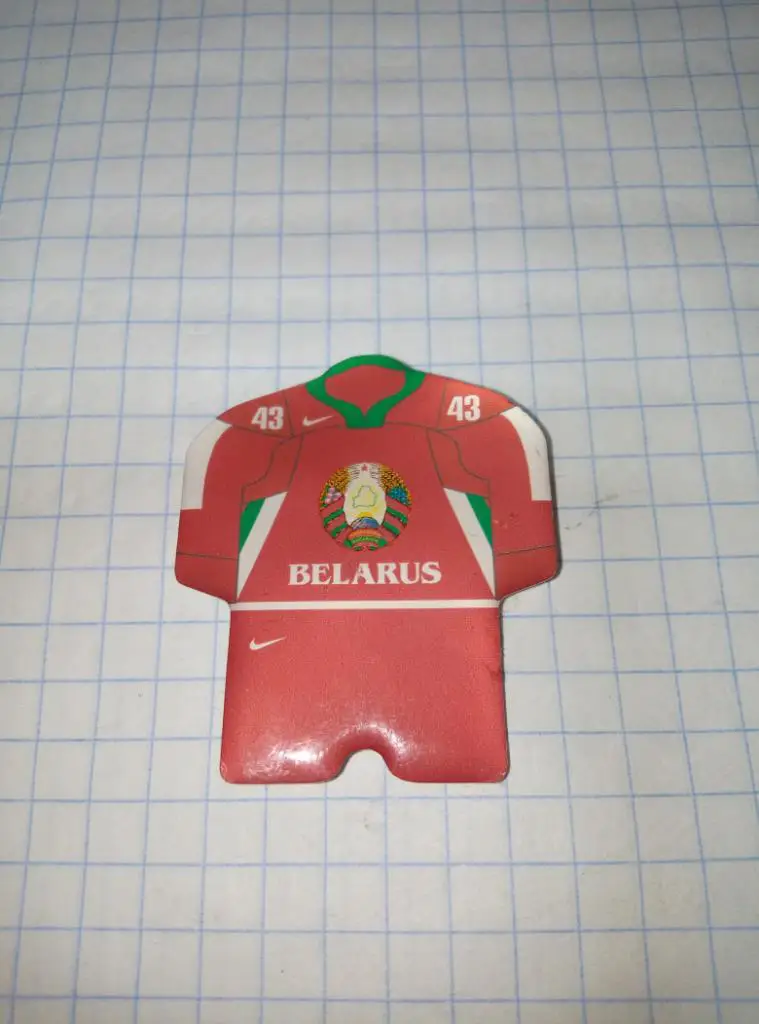 Магнит ХК сборная Беларусь (винил)