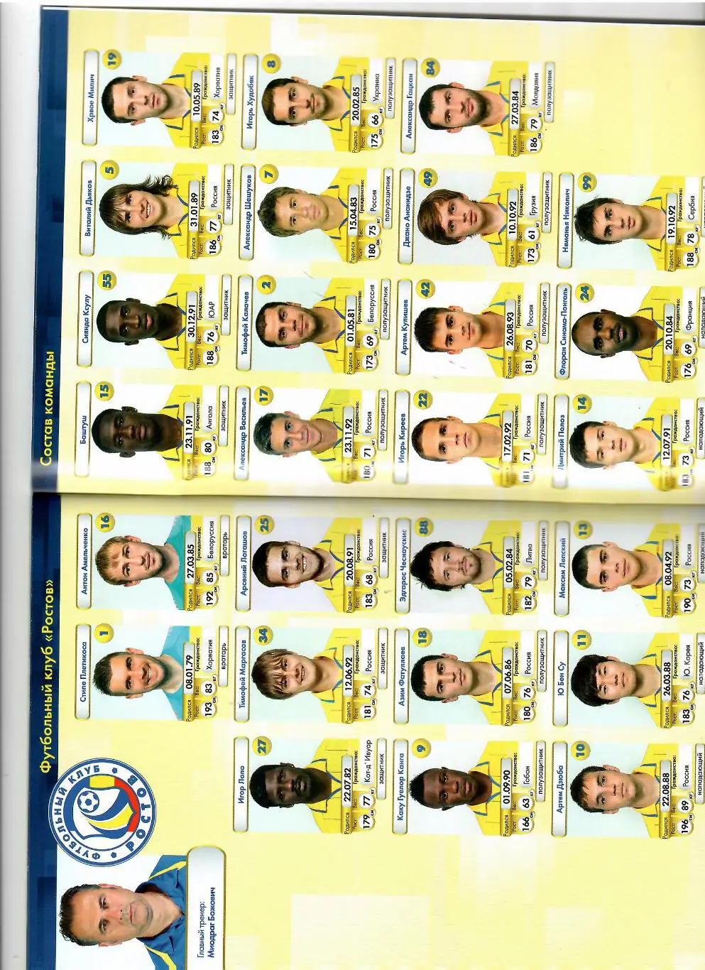 Ростов-Крылья Советов 2013 4