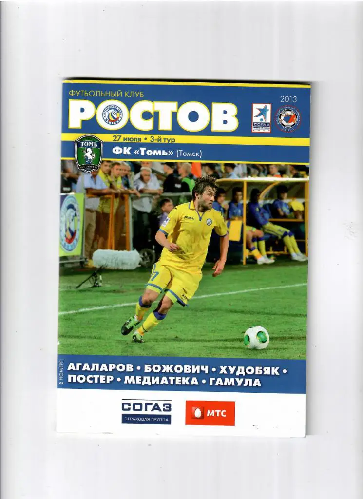 Ростов-Томь 2013