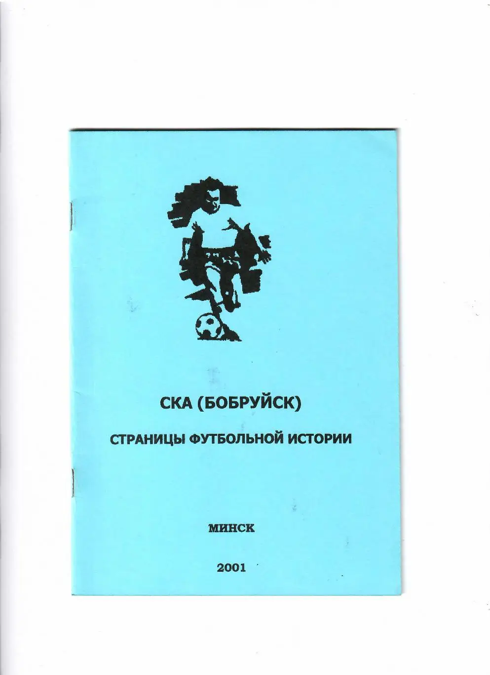 К/С СКА Бобруйск-страницы футбольной истории 2001