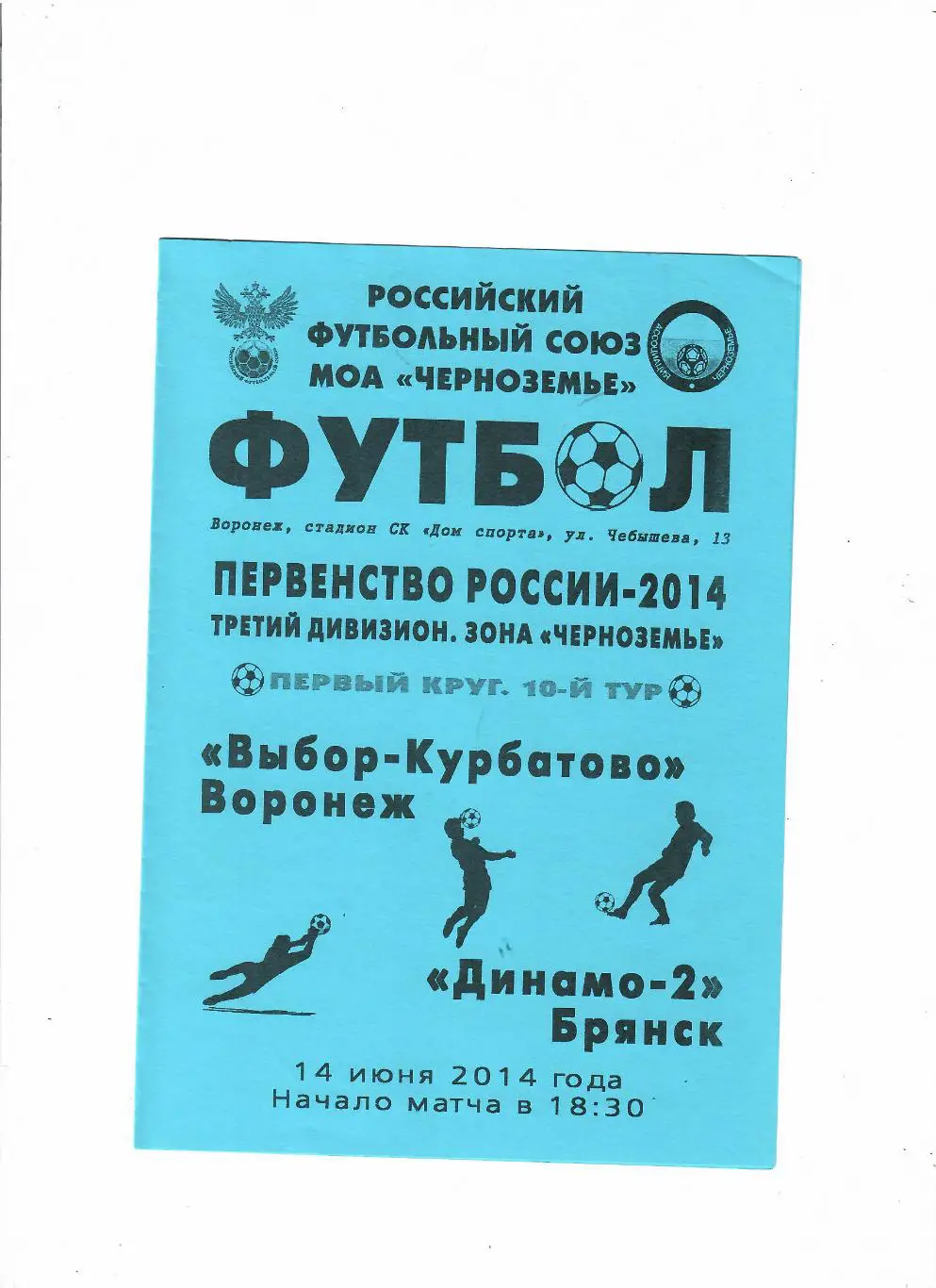 Выбор-Курбатово - Динамо-2 Брянск 2014