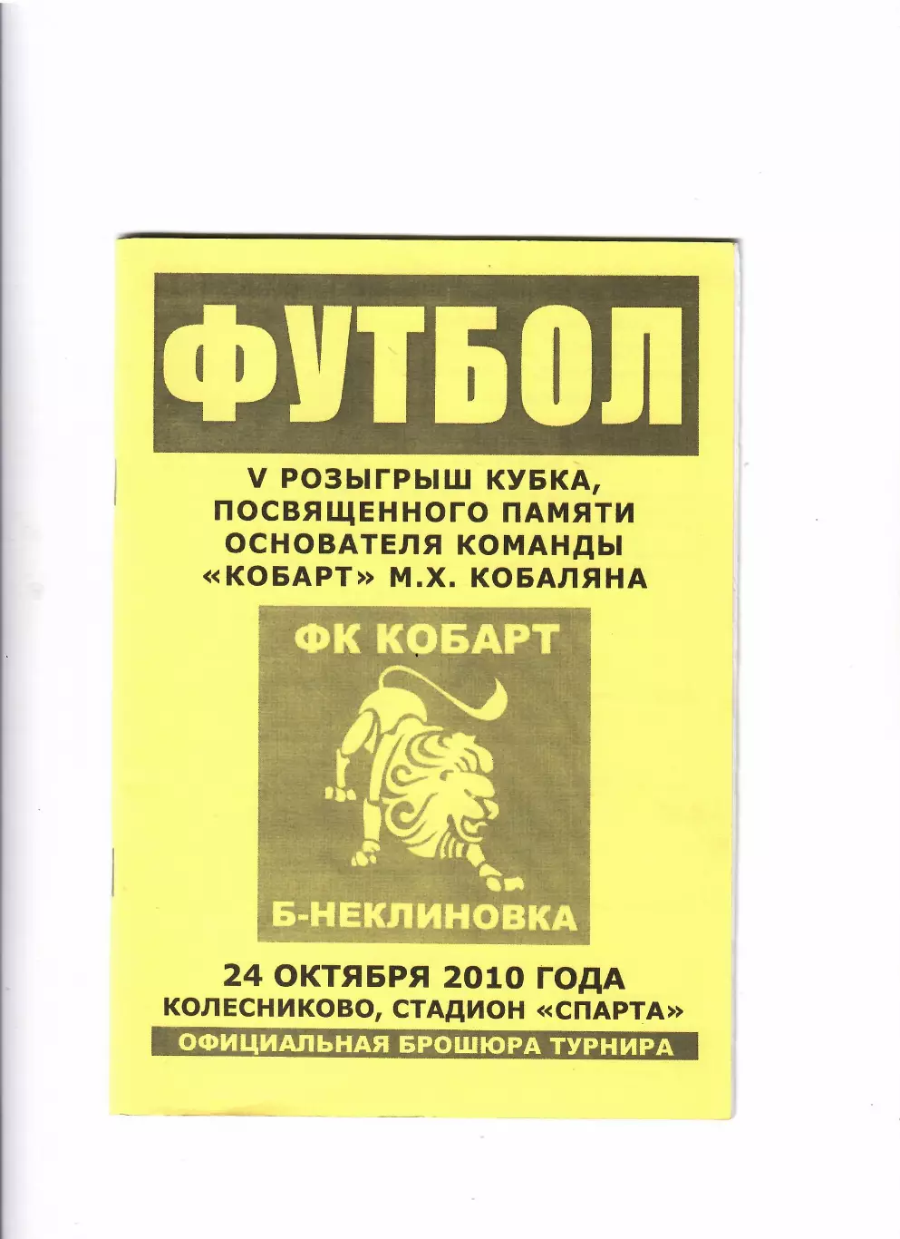 ФК Кобарт Большая Неклиновка V-й Кубок Кобаляна 2010