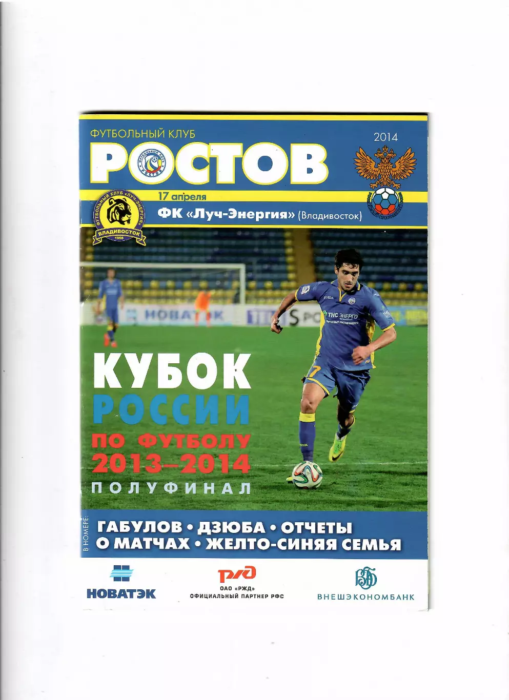 Ростов-Луч-Энергия Владивосток 2014 Кубок России