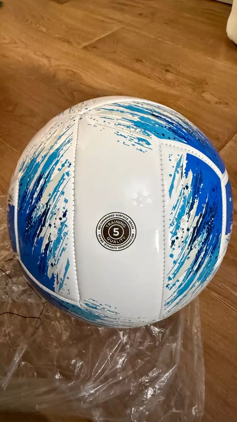 Мяч футбольный. Динамо Киев. Размер 5. Вид 4 1