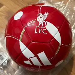 Мяч футбольный. Ливерпуль. Размер 5