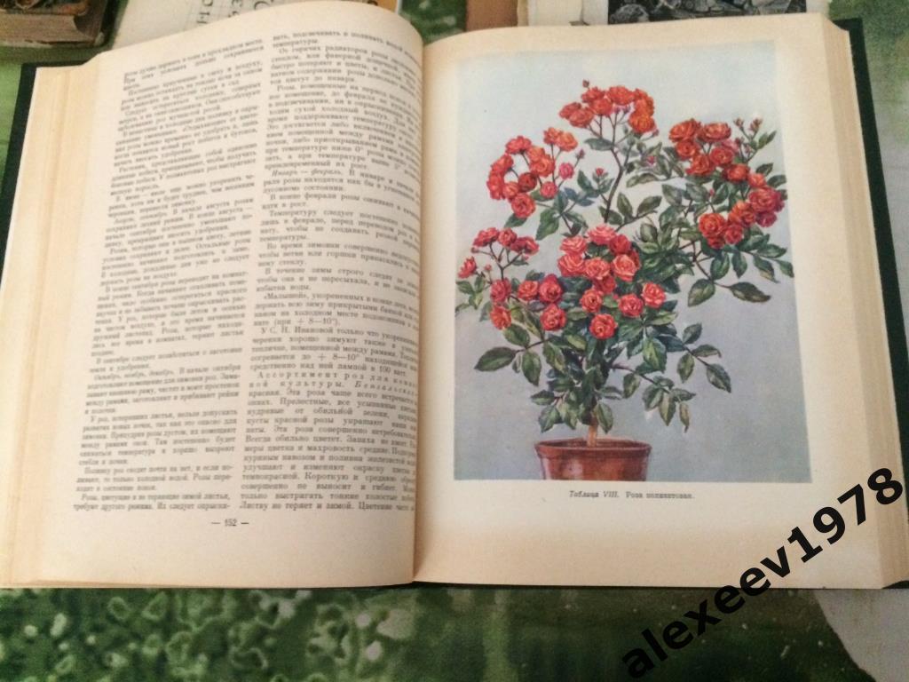 Комнатное Садоводство, Москва 1956 год 501 стр. Цветоводство Сельхозгиз 3