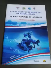 Натурбан 3 этап Кубка Мира Москва 11-15 января 2017