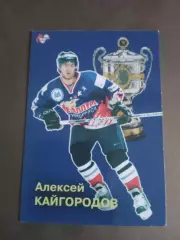 Кайгородов Алексей Металлург Магнитогорск Чемпион России 2006-2007