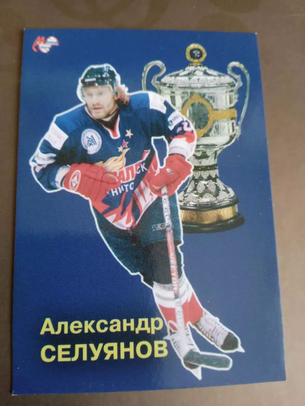 Селуянов Александр Металлург Магнитогорск Чемпион России 2006-2007