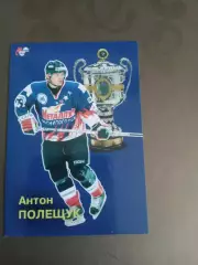 Полещук Антон Металлург Магнитогорск Чемпион России 2006-2007