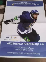 Амур Хабаровск - Спартак Мосва 29 января 2011 2 вид