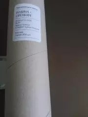 Родина Москва - ФК Оренбург 18 августа 2026