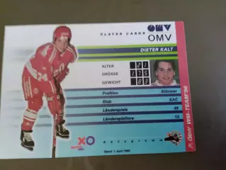 Дитер Кальт сборная Австрии ЧМ 1996