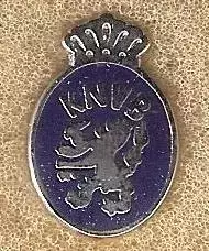 Знак Федерация Футбола Нидерланды (38) / Ретро / 2025