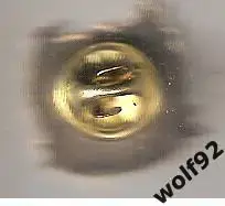 Знак Гамба Осака Япония (1) / Gamba Osaka / 2000-е 1