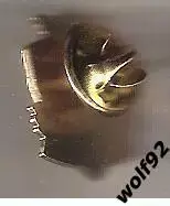 знак Хоккайдо Консадоле Саппоро Япония (1) / Hokkaido Consadole Sapporo /2000-е 1