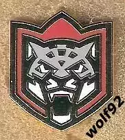 Знак Хоккей АК Барс Казань (7) / 2024