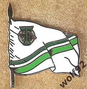 Знак Торпедо Москва / Флаг / 2023