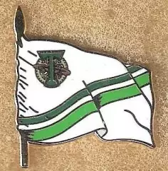 Знак Торпедо Москва / Флаг / 2023