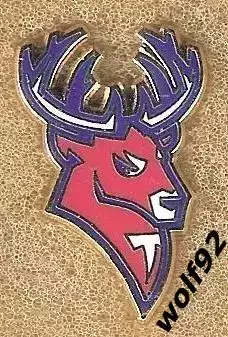 Знак Хоккей ХК Торпедо Нижний Новгород (12) / 2025