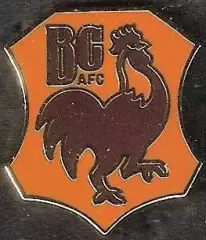 Знак Брэдфорд Сити Англия (8) / Bradford City AFC / 2025