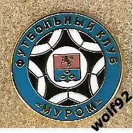 Знак ФК Муром (1) / 2017-18-е