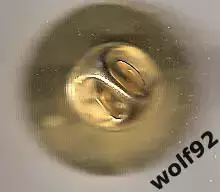 Знак Челси Англия (130) / Chelsea Headhunters / 2010-е / (D=22мм) 1