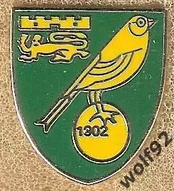 Знак Норвич Сити Англия (5) / Norwich City FC / 2010-е гг.