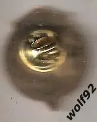 Знак Спартак Москва 1935 / Футболист / 2000-е гг. 1