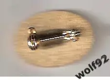 Знак Федерация Футбола Чили (6) / Пр-во Англия / 2000-е гг. 1