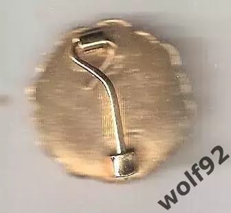 Знак Боруссия Дортмунд Германия(4) /Borussia Dortmund /Gр-во Англия /1990-е гг 1