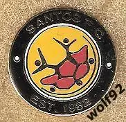 Знак ФК Сантос Кейптаун ЮАР (1) / Santos Football Club / 2014