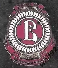 Знак Хоккей ХК Витязь Подольск (7) / 2026