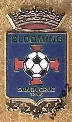 Знак ФК Блуминг Боливия (1) /Club Social, Cultural y Deportivo Blooming /2016