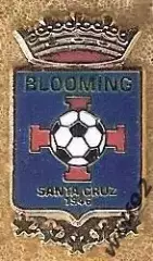 Знак ФК Блуминг Боливия (1) /Club Social, Cultural y Deportivo Blooming /2016