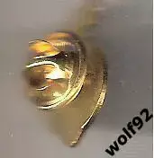 Знак ФК Торпедо Миасс (2) / 2000-е 1