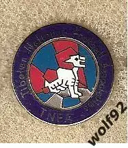 Знак Федерация Футбола Тибет (1) / Пр-во Швеция 1990-2000-е гг.