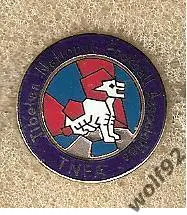 Знак Федерация Футбола Тибет (1) пр-во Швеция 1990-2000-е гг.