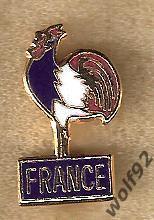 Знак Федерация Футбола Франция (13) пр-во Англия 1990-е гг.