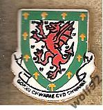 Знак Федерация Футбола Уэльс (6) оригинал 2000-е гг. Toye Kenning & Spencer Ltd