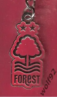 Брелок Ноттингем Форест Англия (2) / Nottingham Forest / Официальный 2019 1
