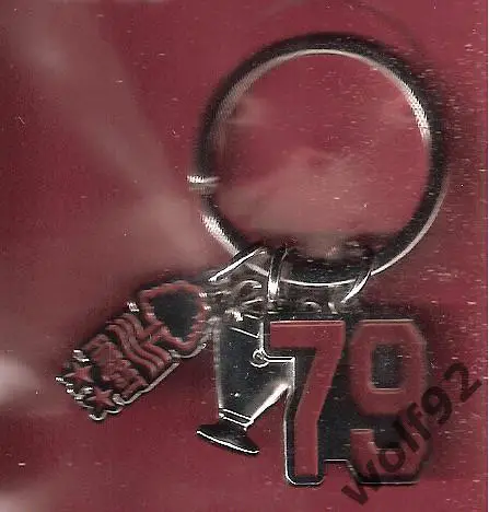 Брелок Ноттингем Форест Англия(3)/Nottingham Forest/Официальный 2019 (3 подвес.) 1