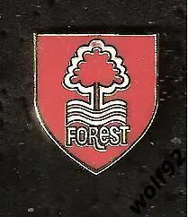 Знак Ноттингем Форест Англия (1) / Nottingham Forest FC / 2010-е гг.