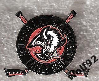 Знак Хоккей Баффало Сейбрс НХЛ (2) / Buffalo Sabres NHL / Официальный / 2000-е