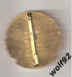 Знак Вест Хэм Юнайтед Англия (51) / West Ham/The Hammers / Coffer London 1970-е 1