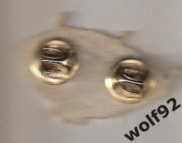 Знак Селенга Улан-Удэ (1) / Стадион Центральный / Ретро / 2021 1