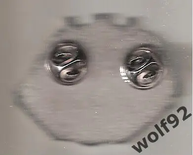 Знак ФК Звезда Санкт-Петербург (2) / Стадион Кировец / 2023 1